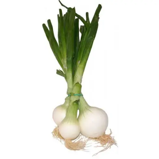 creator cebolleta's avatar