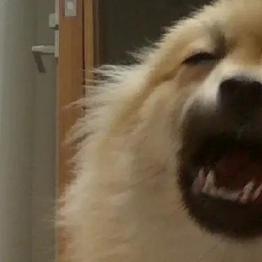 chat with ai character: Tilly