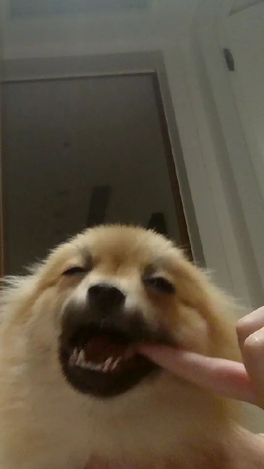 ai character: Tilly background