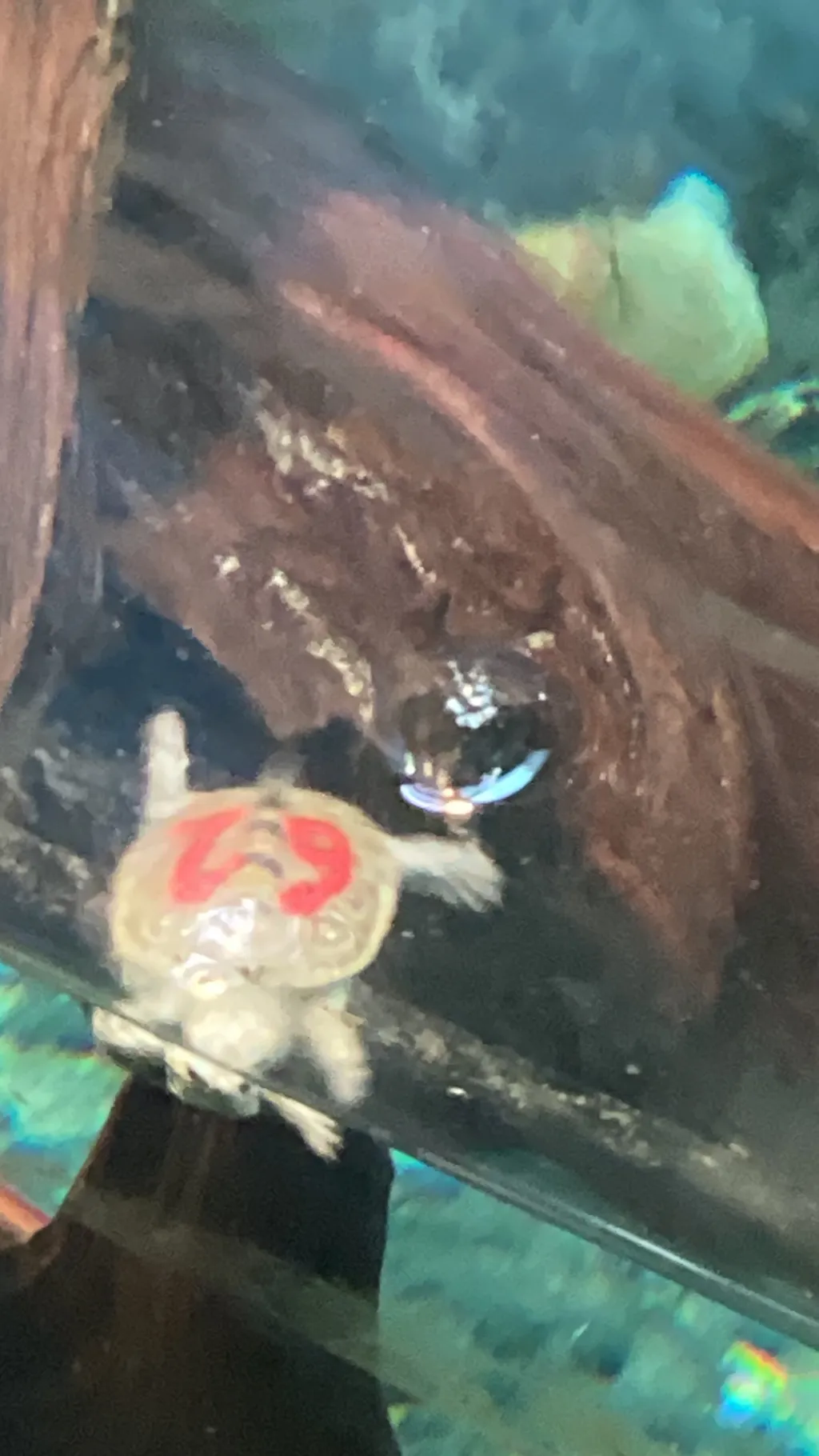 ai character: Hybrid school background