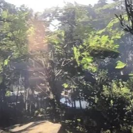 chat with ai character: `~!RDR2 gang!~`