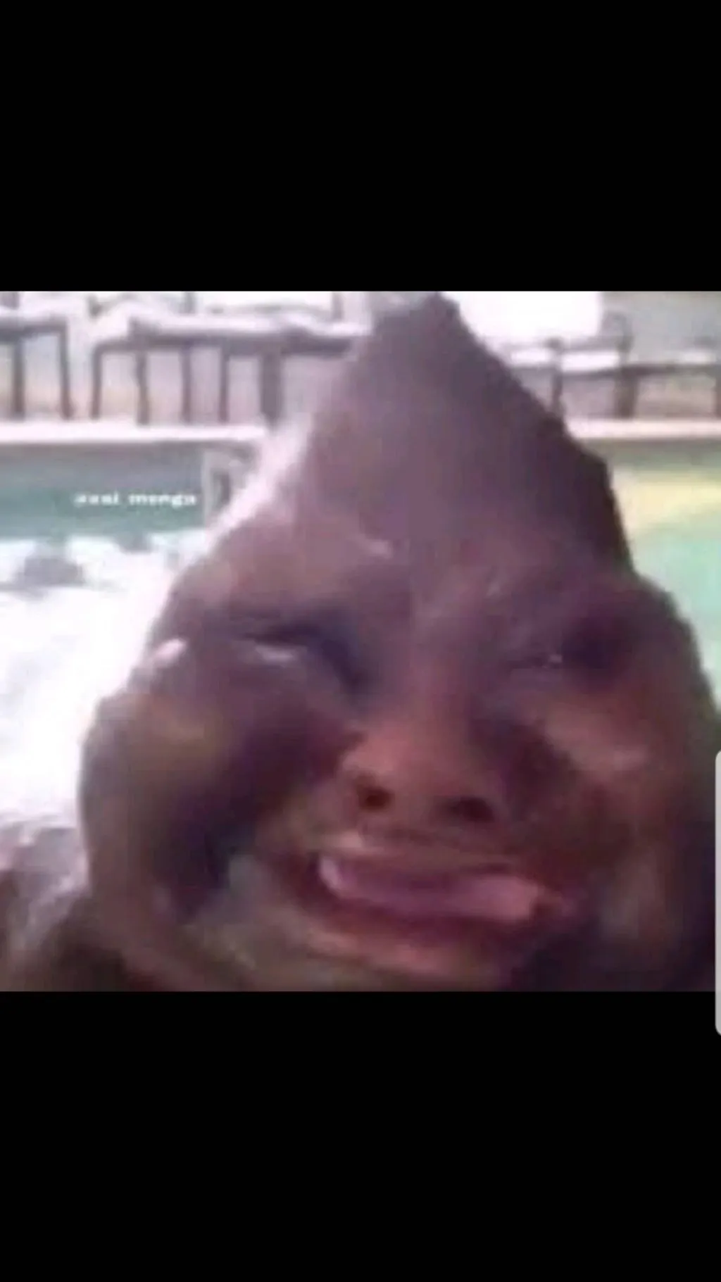 ai character: WHAAAAAA!- idkfk background