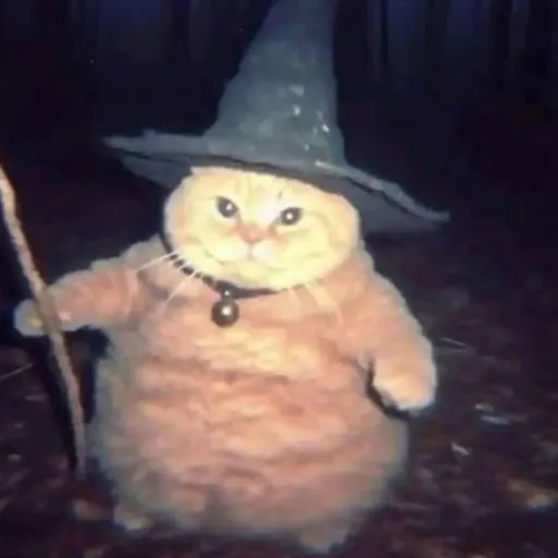 creator /ᐠ - ˕ -マ Ⳋ 🎀's avatar