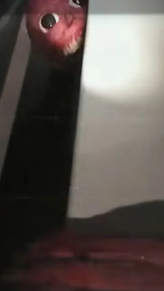 ai character: Analog Horror background