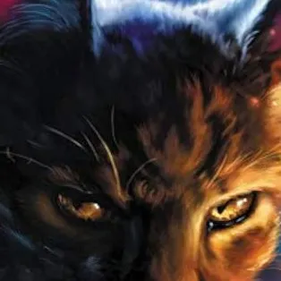 chat with ai character: Fire And Ice (WC)