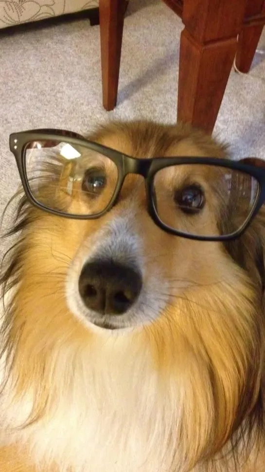 ai character: im in yah walls... background