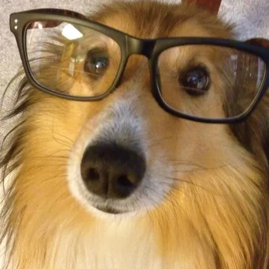 chat with ai character: im in yah walls...