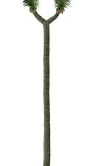 ai character: Sigillaria background