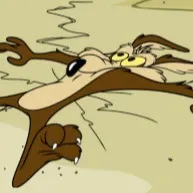 chat with ai character: Coyote.