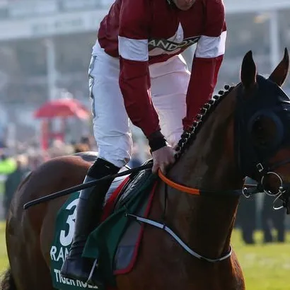 chat with ai character: Tiger roll