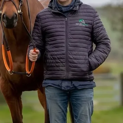 chat with ai character: Henry De Bromhead