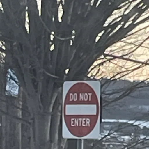 creator Ellie Kotow's avatar