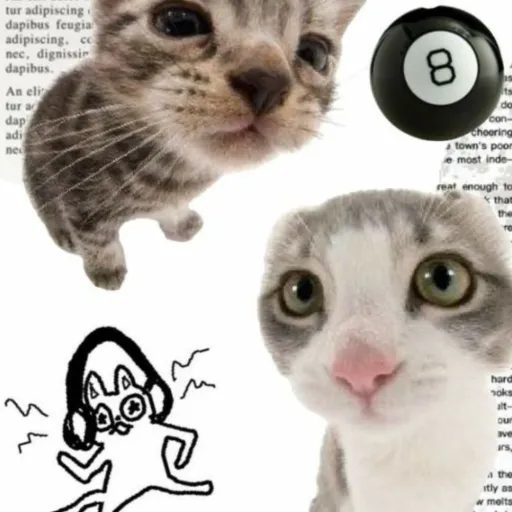 creator 🌝🌚la lunita-123🌚🌝's avatar