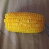 creator corn!!'s avatar