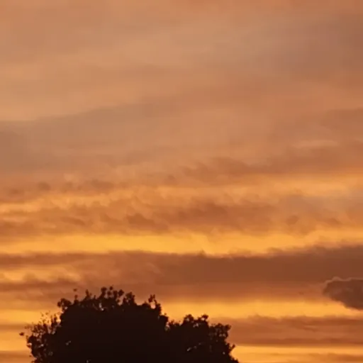 creator Kara Labuscagne's avatar