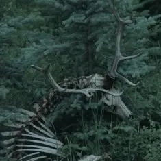 creator Miss_Ali's avatar