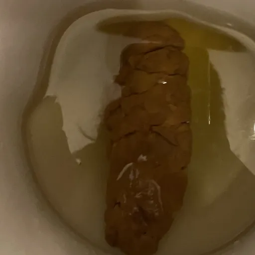 creator Ňufíček's avatar