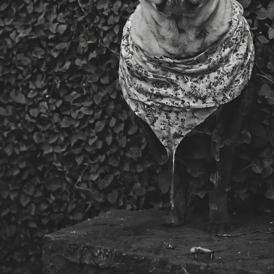 chat with ai character: DW x SAB