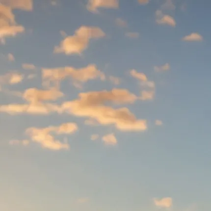 chat with ai character: Sea rabbit