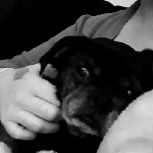 creator Cute mina's avatar