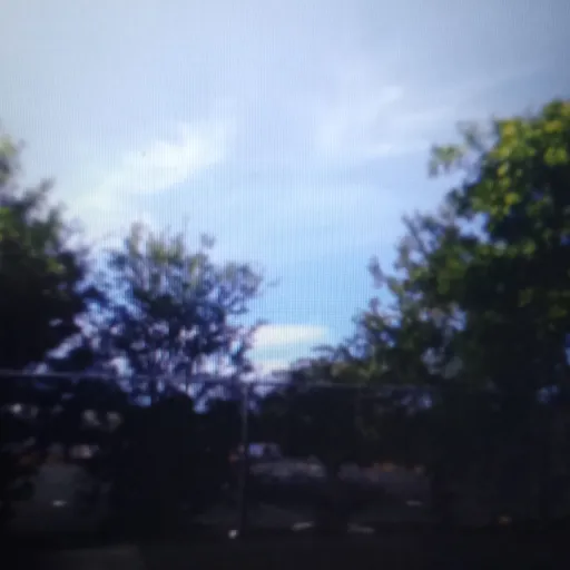 creator Masculinity n dead's avatar