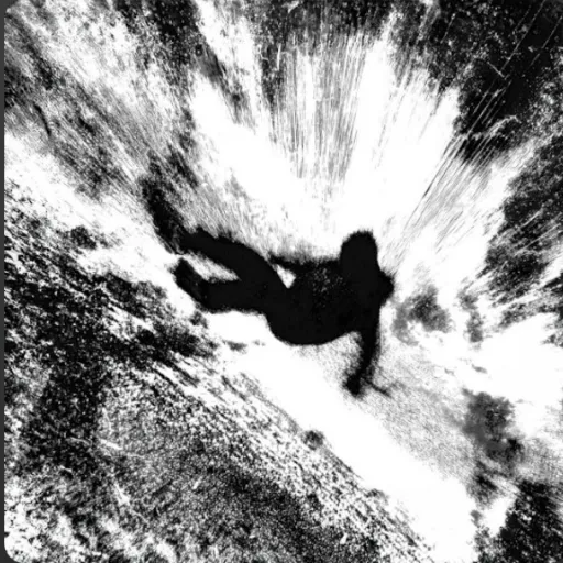 creator Amor.00's avatar