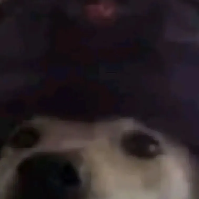 chat with ai character: Me x you… :p