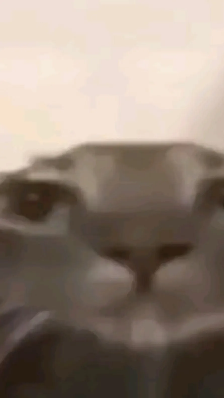 ai character: Forsaken :D (+You) background