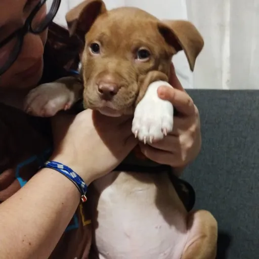 creator meImportaUnCulo😃👍🏻's avatar