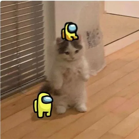 creator Long Rod's avatar