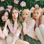 chat with ai character: blackpink