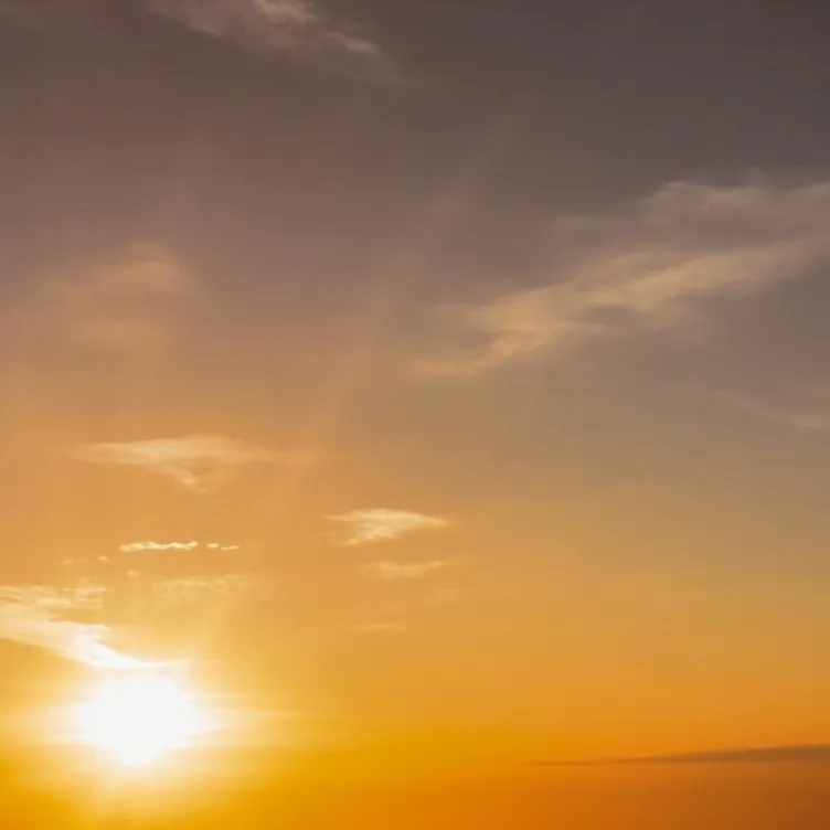 chat with ai character: Mr. Crawling