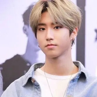 chat with ai character: Han Jisung