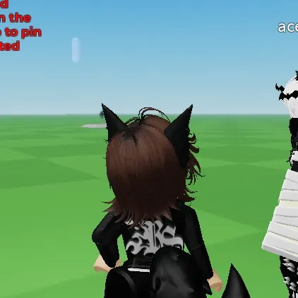 chat with ai character: acetheloser andme