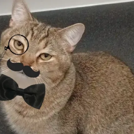 chat with ai character: Deadly Class 