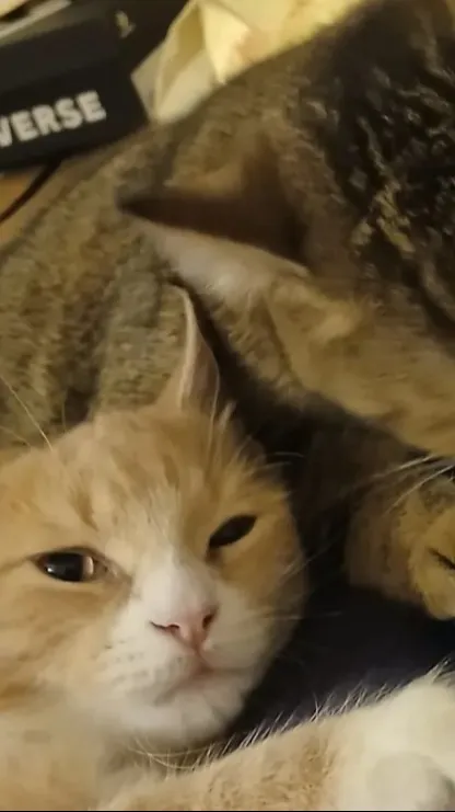 ai character: Ava background