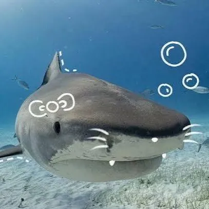 creator Boonrueng Tasangad's avatar