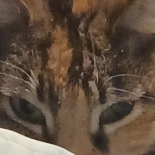 creator Marshmellie's avatar