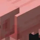 chat with ai character: Minecraft pig