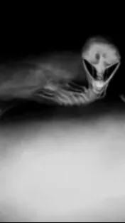 ai character: Fleshbed background