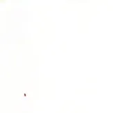 chat with ai character: Subject 382