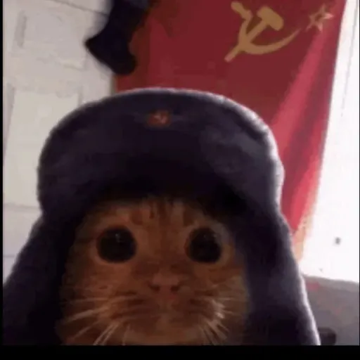creator ieatgrasssovietcat's avatar