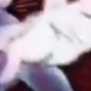 chat with ai character: minos prime