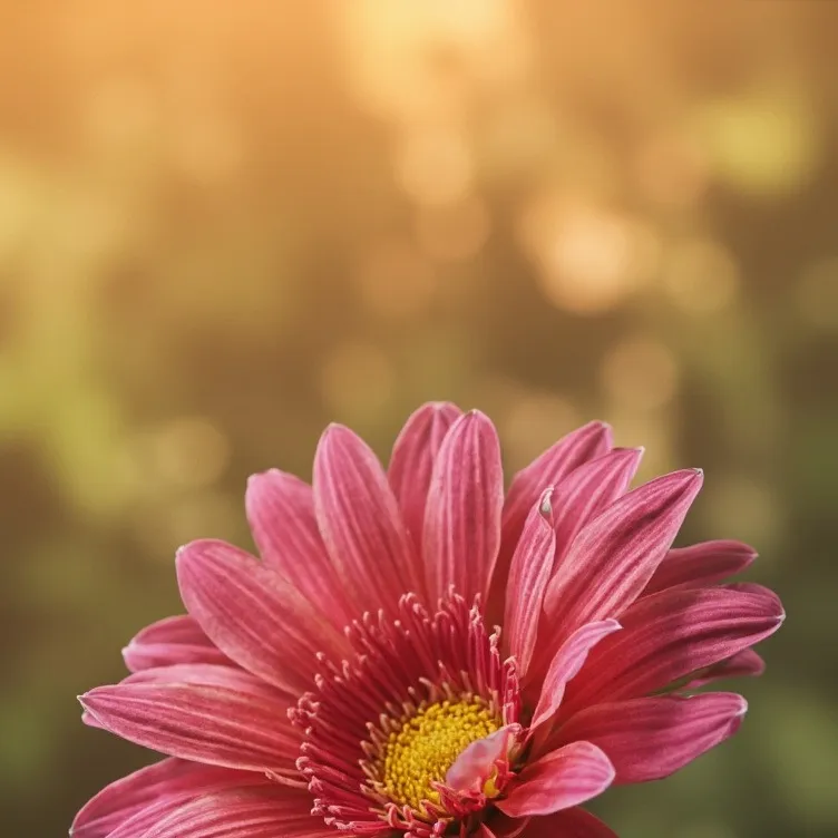 chat with ai character: Sturniolo Triplets