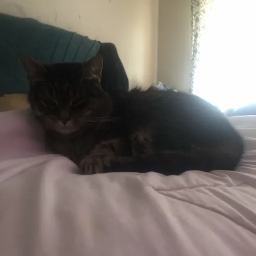 creator Kaion291's avatar