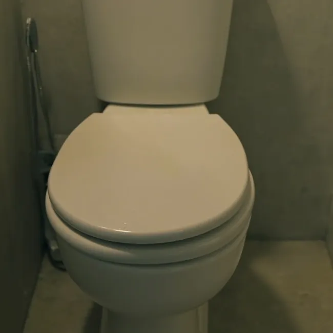 chat with ai character: A toilet