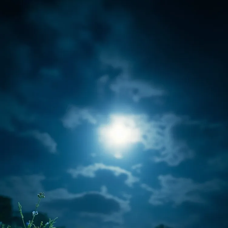 chat with ai character: Random