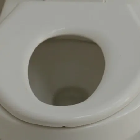 chat with ai character: Toilet