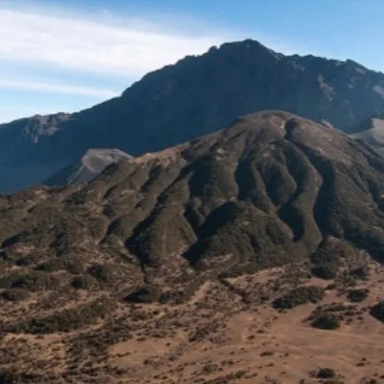 chat with ai character: Africa