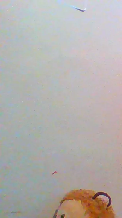 ai character: lulu background